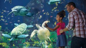 Family standing in front of an Aquarium at SeaWorld - San Diego, California, USA